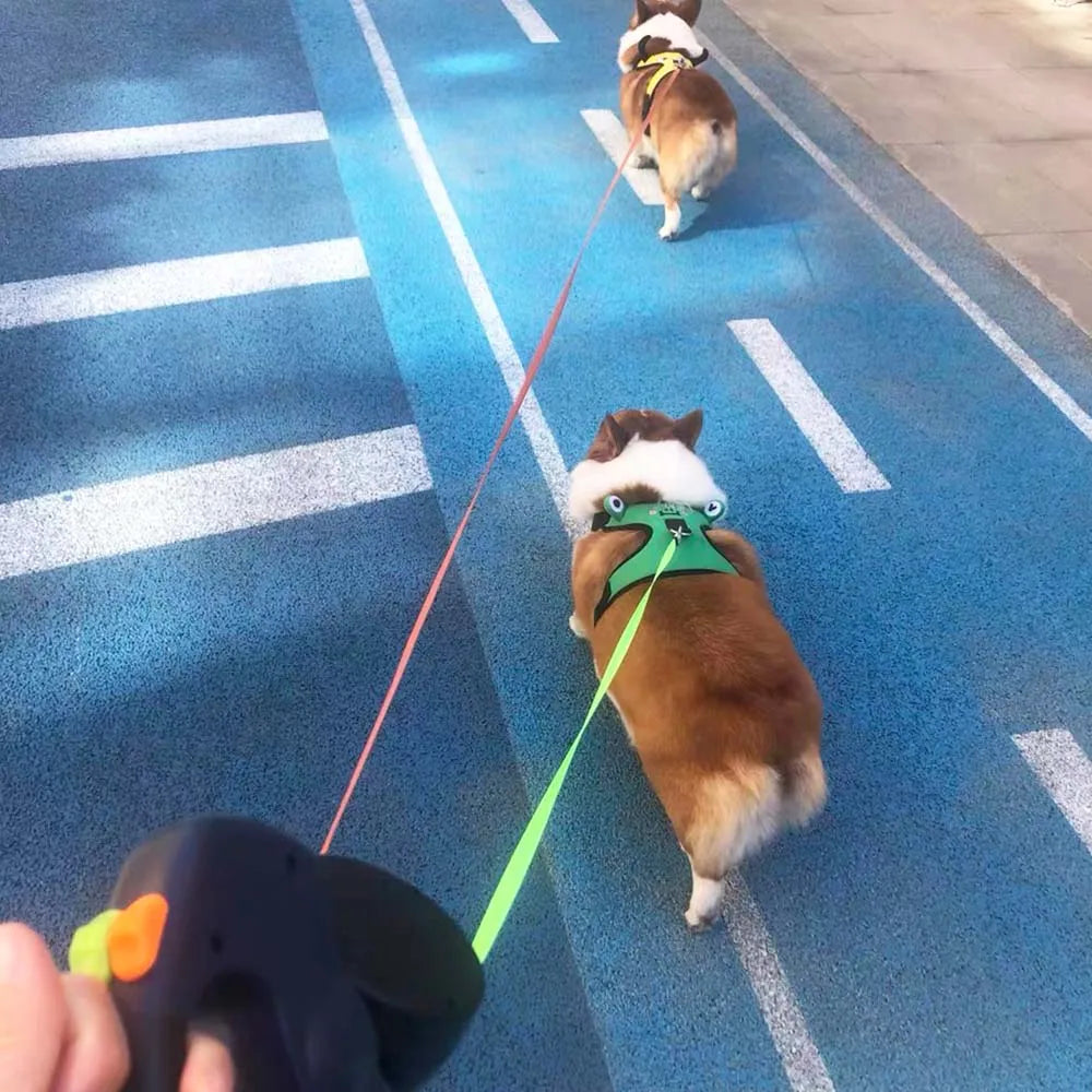 P-A-W-M-I Dual Dog Leash – No Tangles, All Control